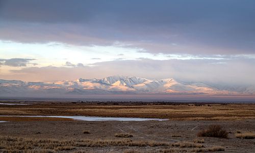 Chuyasteppe im Morgenlicht