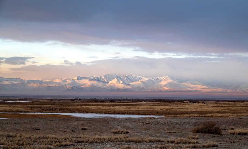 Chuyasteppe in the morning light by jaap van der kooij