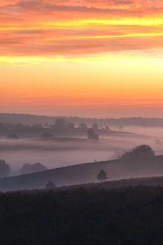 Zonsopkomst Veluwe