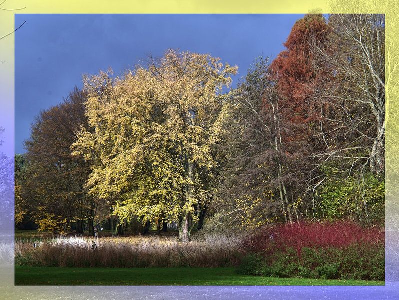 Bomen in de herfst van Edgar Schermaul