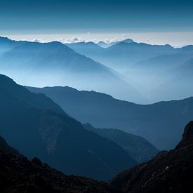 Blue von Maaike van Tol