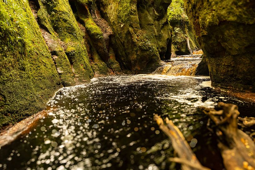 Devil's Pulpit (Finnich Glen) met bokeh van Theo Fokker