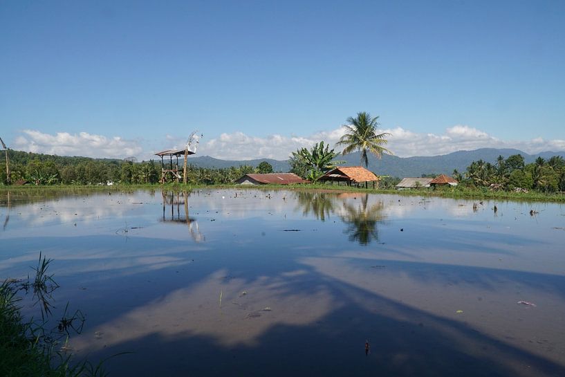 Bali by Helmuth Houtermans