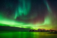 Aurora in Myrland