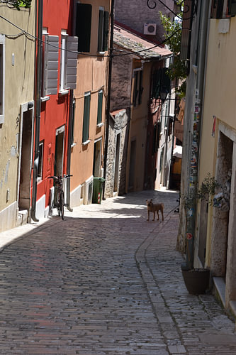 A small street in Rovinj 4