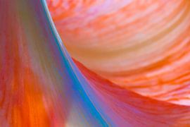 Oranje en blauw