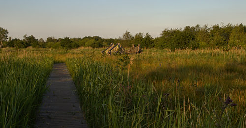 Brug over de Dommel