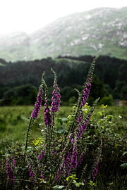A lovely road trip through Glencoe in Scotland makes for some lovely photos.