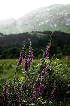 A lovely road trip through Glencoe in Scotland makes for some lovely photos.