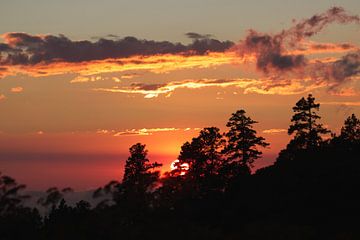 Zonsondergang in de natuur | Landschap | San Jose del Pacifico | Mexic van Kimberley Helmendag