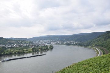 La vallée du Rhin sur Jeroen Franssen