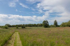 Groningen und Drenthe Veenkoloniën von Johan Mooibroek