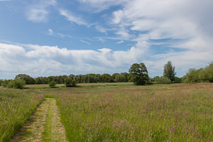 Groningen und Drenthe Veenkoloniën