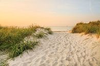 Gouden uur aan het strand van de Oostzee van Ursula Reins thumbnail