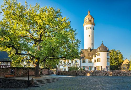 Schloss Höchst from Schlossplatz by Christian Müringer