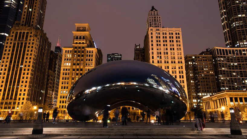 Chicago Cloud Gate von Bjorn van der Wee