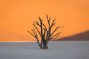 Deadvlei V van Sven Broeckx