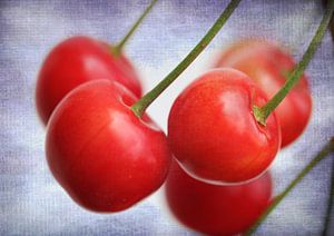Rote Kirschen 2