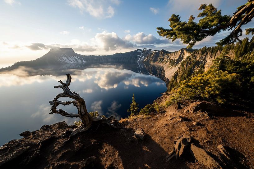 Berührung der Natur von fernlichtsicht