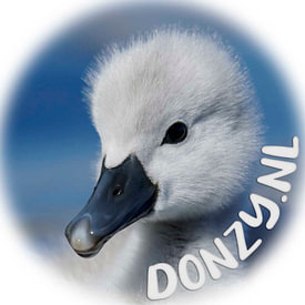 Donzy.nl profielfoto