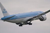 Flying Holiday