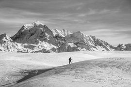 to the top! by samir Nashashibi