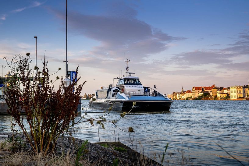 Wasserbusse fahren von Zwijndrecht ab von Sonia Alhambra Mosquera