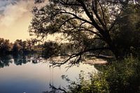 Donau
