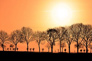 Zonsopkomst bij Bronkhorst van Arno Wolsink