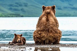 Tegenpolen van Giuseppe DAmico