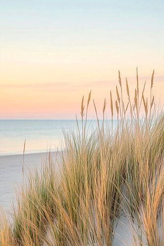 Sunrise on the beach dunes