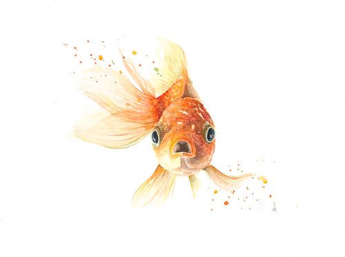 Poisson rouge à l'aquarelle