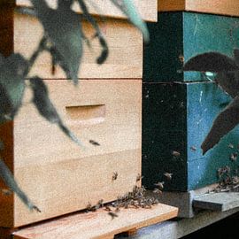 Utrecht - Beehive coarse grit by Wout van den Berg