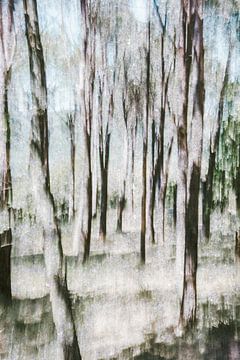 Bomen in het bos met zachte aardtinten van Imaginative