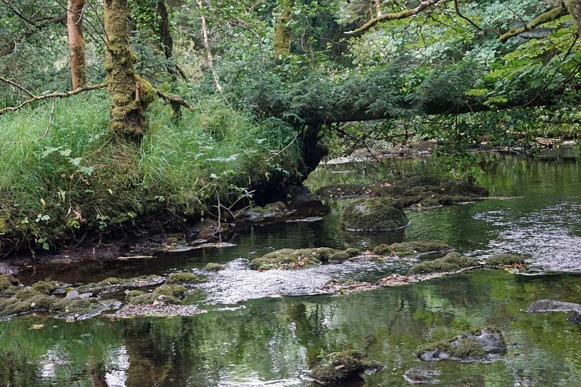 Fowley's Falls in Irland von Babetts Bildergalerie
