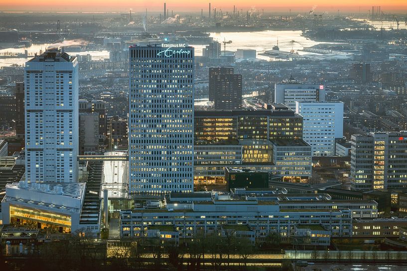 Discover the beauty of Rotterdam in one photo by Roy Poots