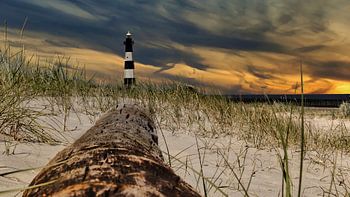 Phare et tronc d'arbre