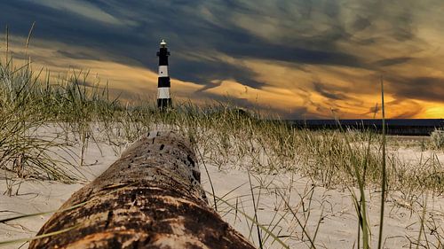 Lighthouse and tree trunk