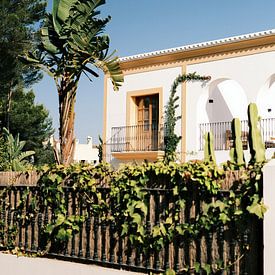 Wit huis met tropische tuin in Ibiza // Reis en straatfotografie van Diana van Neck Photography