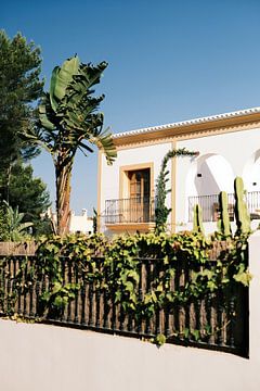 Maison blanche avec jardin tropical à Ibiza // Photographie de voyage et de rue