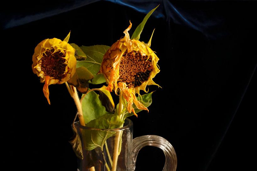 Schilderachtige zonnebloemen van Thomas Jäger