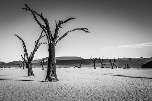 Deadvlei - Namibia