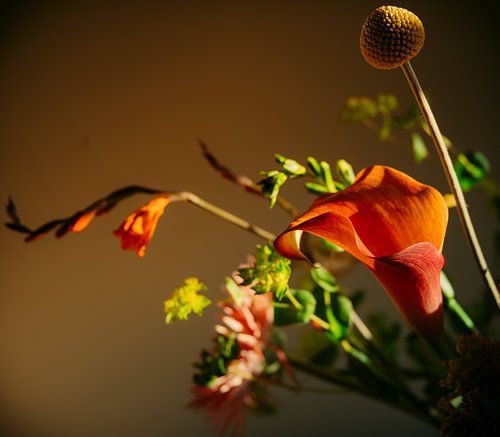Beautiful Flowers!