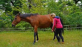 Trakehner Feldmeyer mit Besitzerin  auf der Weide
