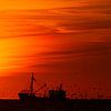 Vissersboot bij ondergaande zon met meeuwen van Menno van Duijn