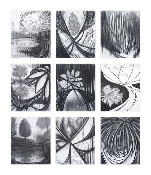 'Secrets Revealed' Series 1 / 2009 van Hans Zantman