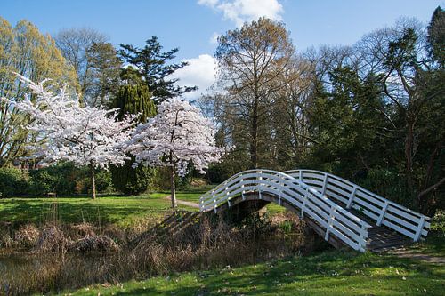 Egbert ten Cate Park Almelo von Lambertus van der Vegt
