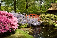 Japanse tuin