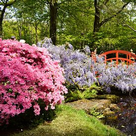 Japanse tuin sur Chayenne Batenburg-Boom