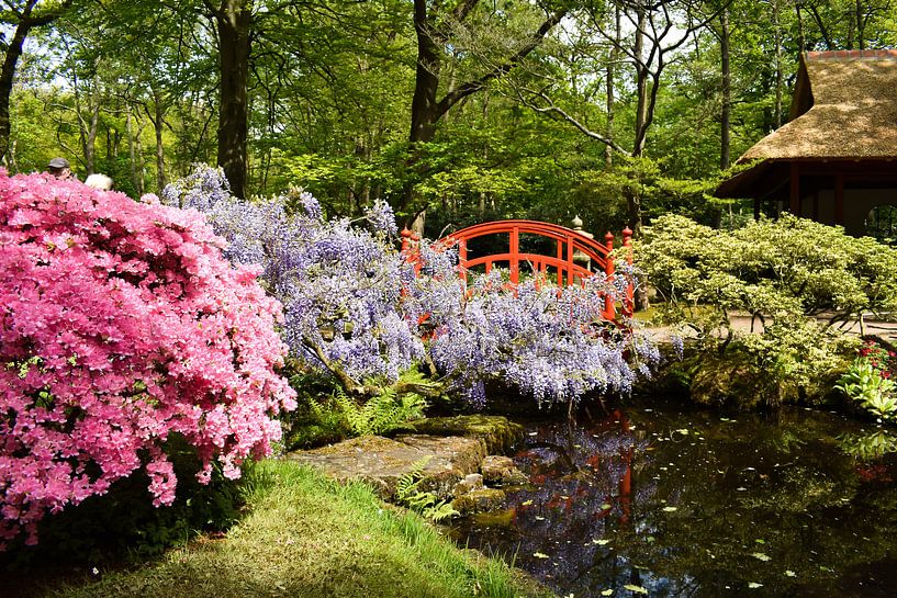 Japanse tuin by Chayenne Batenburg-Boom